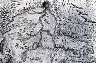 The Alachua Savannah as drawn by William Bartram