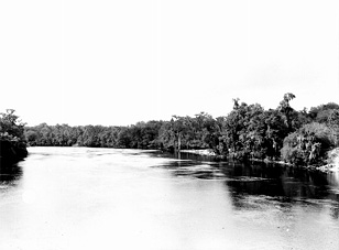 The Suwannee River in Florida