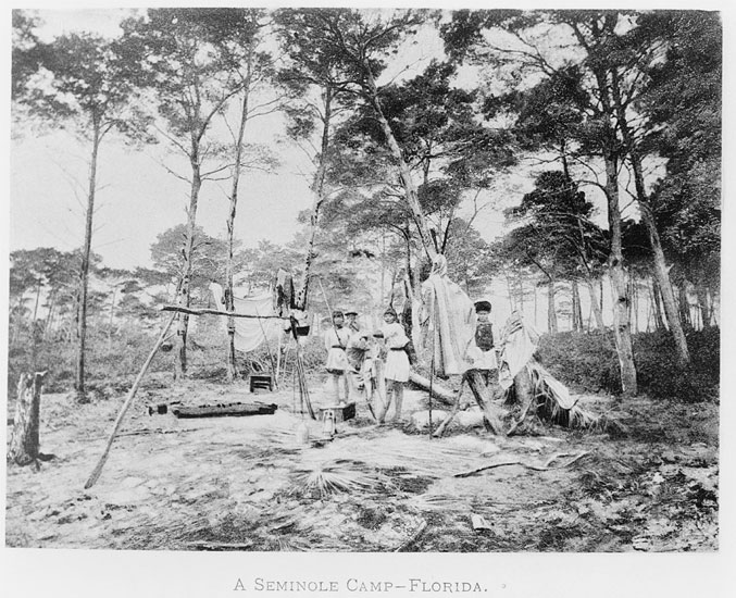 A Seminole camp circa 1905