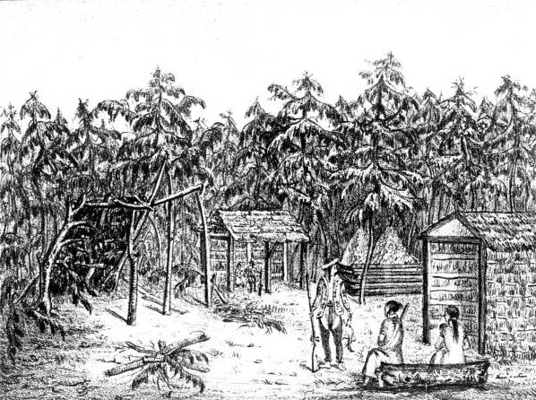 A Seminole village by Castelanau, 1838