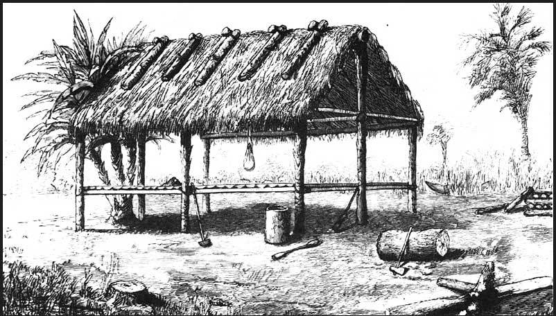 Engraving of a chickee, or Seminole dwelling, circa 1880