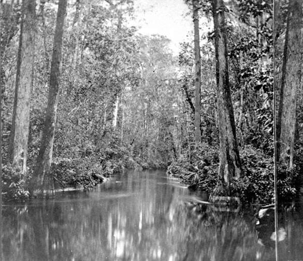 The Ocklahawa River