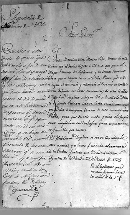 Prince Witten's petition to the Spanish crown